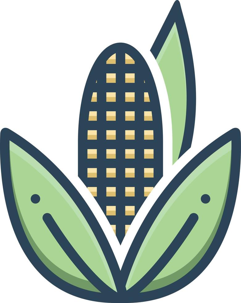 Colorful icon for corn vector