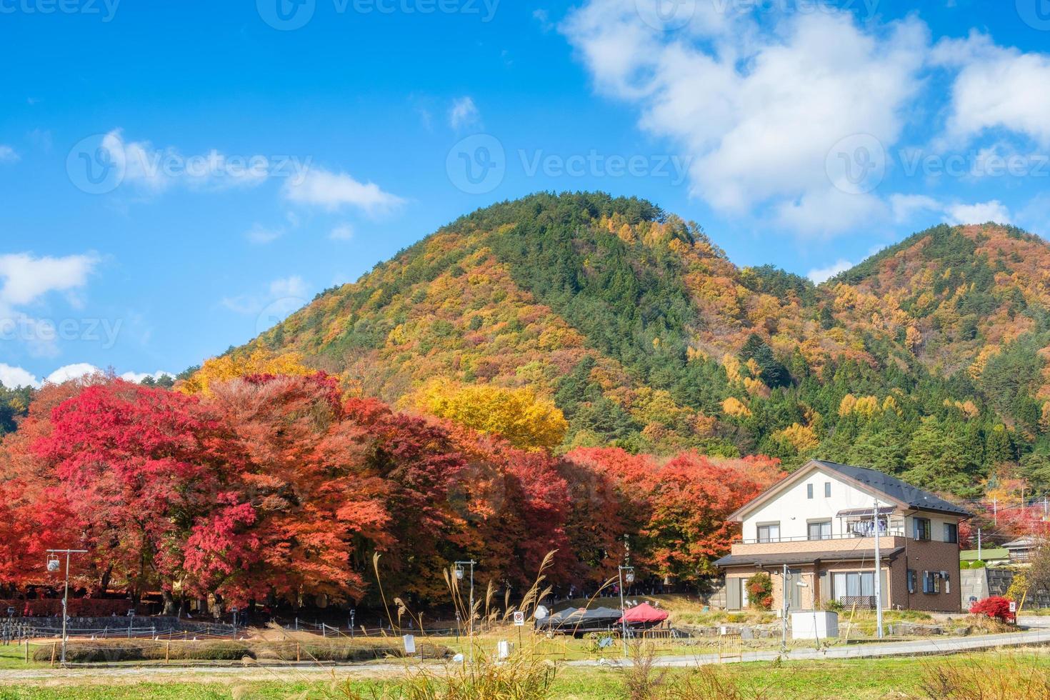 Dreaming house with maple tree corridor and rear mountain photo