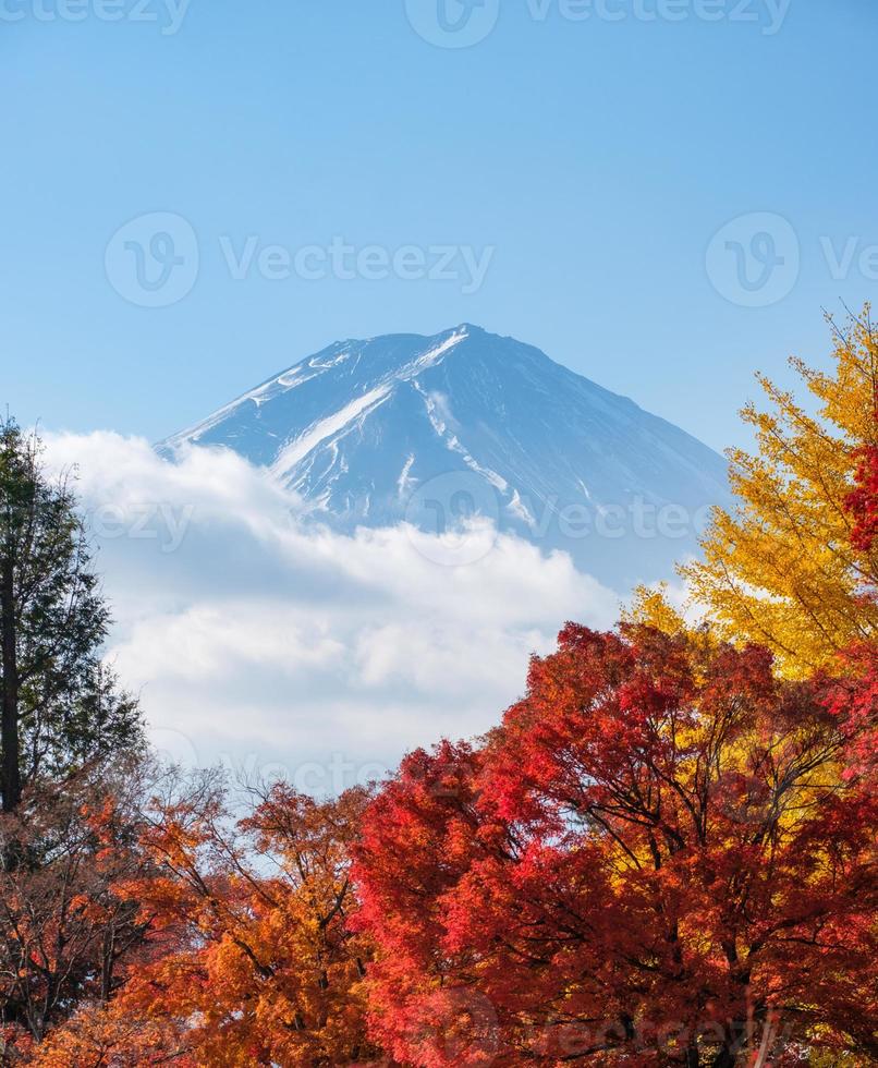monte fuji sobre colorido árbol de otoño en el jardín foto