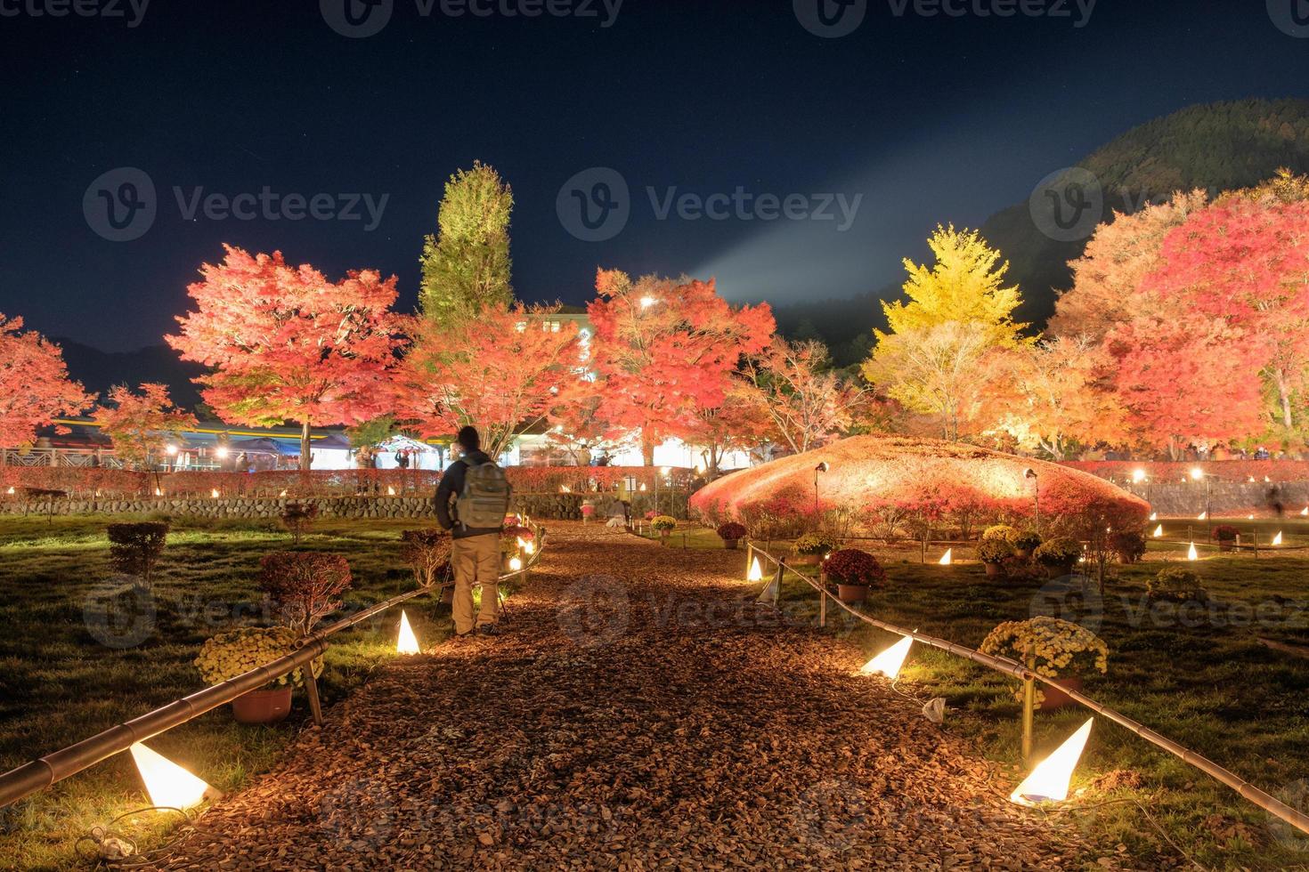 hermoso corredor iluminado en jardín de arce, festival tradicional en kawaguchiko foto