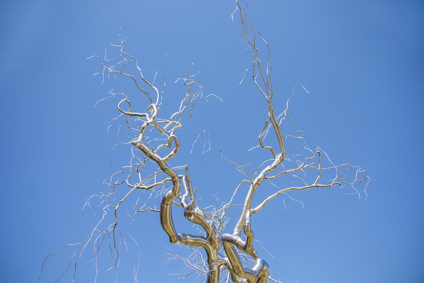 Silver metal tree sculpture in front of a blue sky photo