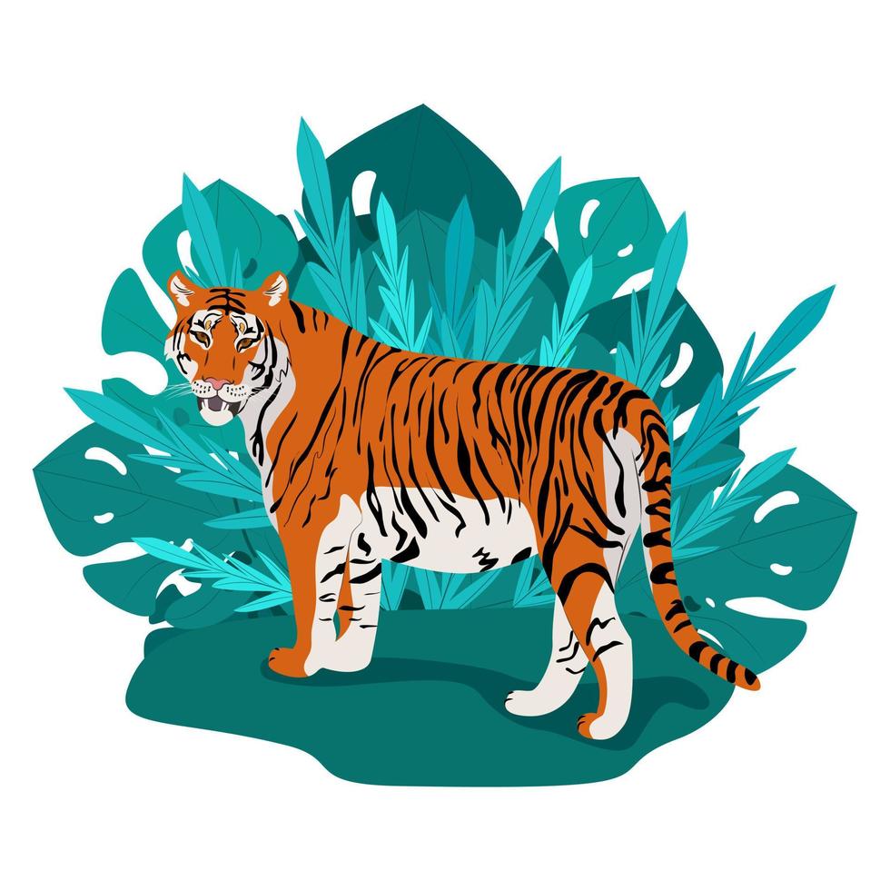 Tiger standing among thick palm leaves, wild carnivores living in the jungle, vector illustration in flat style.