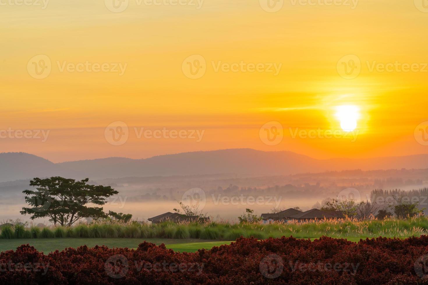 Beautiful village in fog while sunrise photo