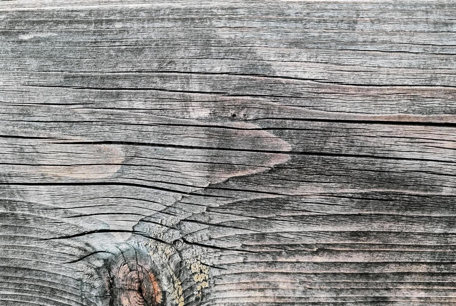 Wooden background of the old board. The texture of a tree with knots and scuffs burnt out in the sun. photo