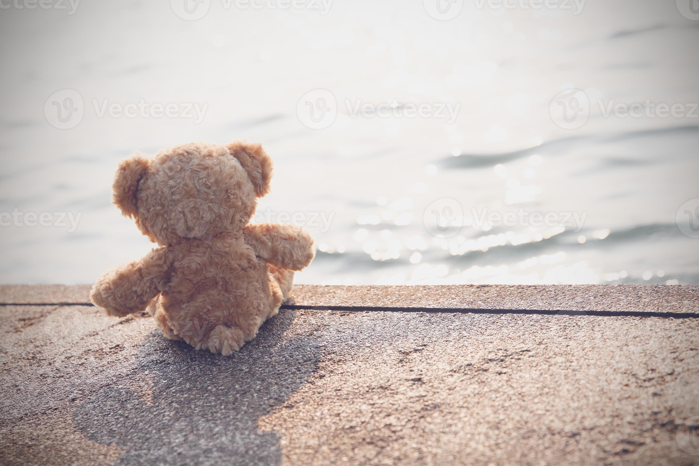 A sad teddy bear sits on a bridge alone looking at the sea in