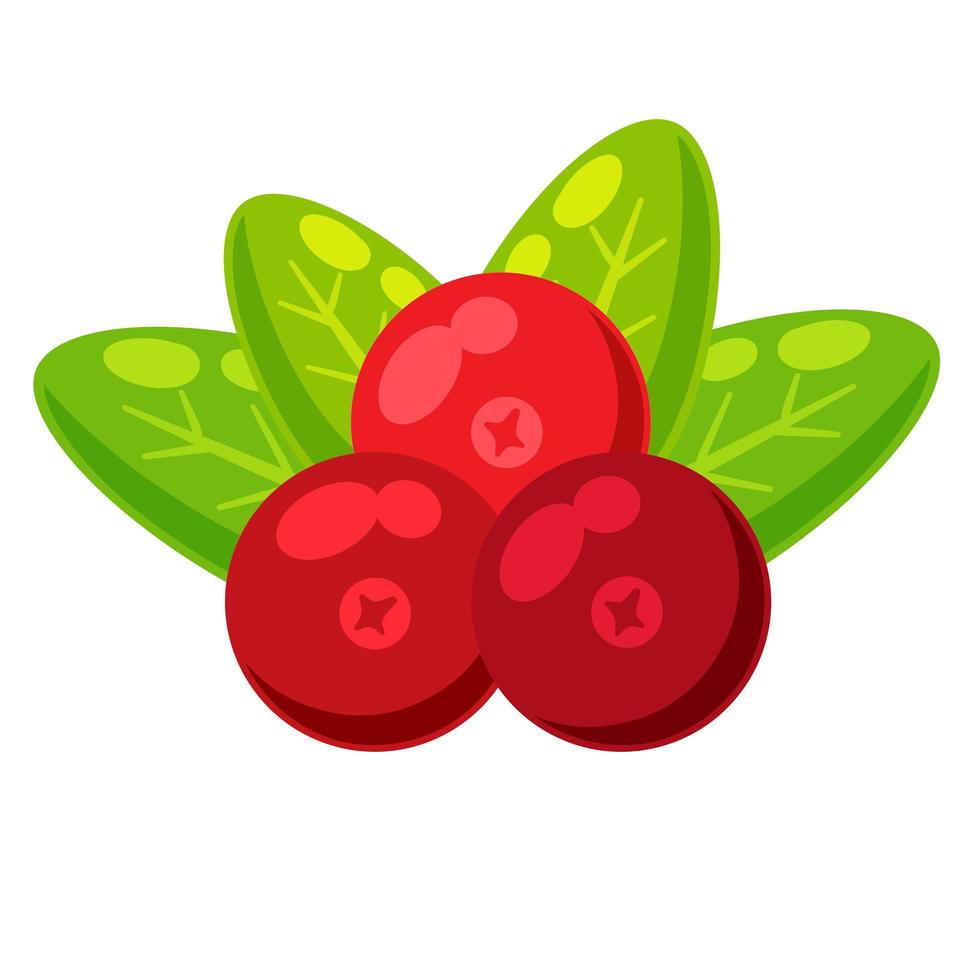 Red currant with green leaves. Cranberry berry. vector