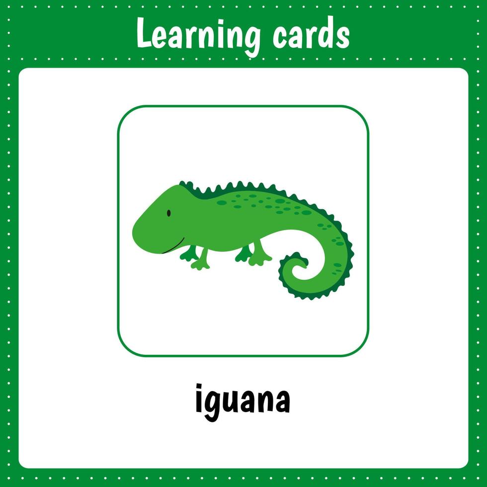 Learning cards for kids. Animals. Iguana vector