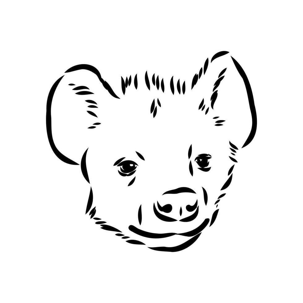 hyena vector sketch