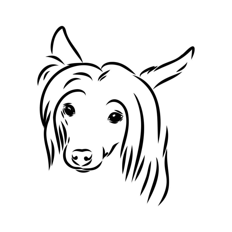 chinese crested dog vector sketch