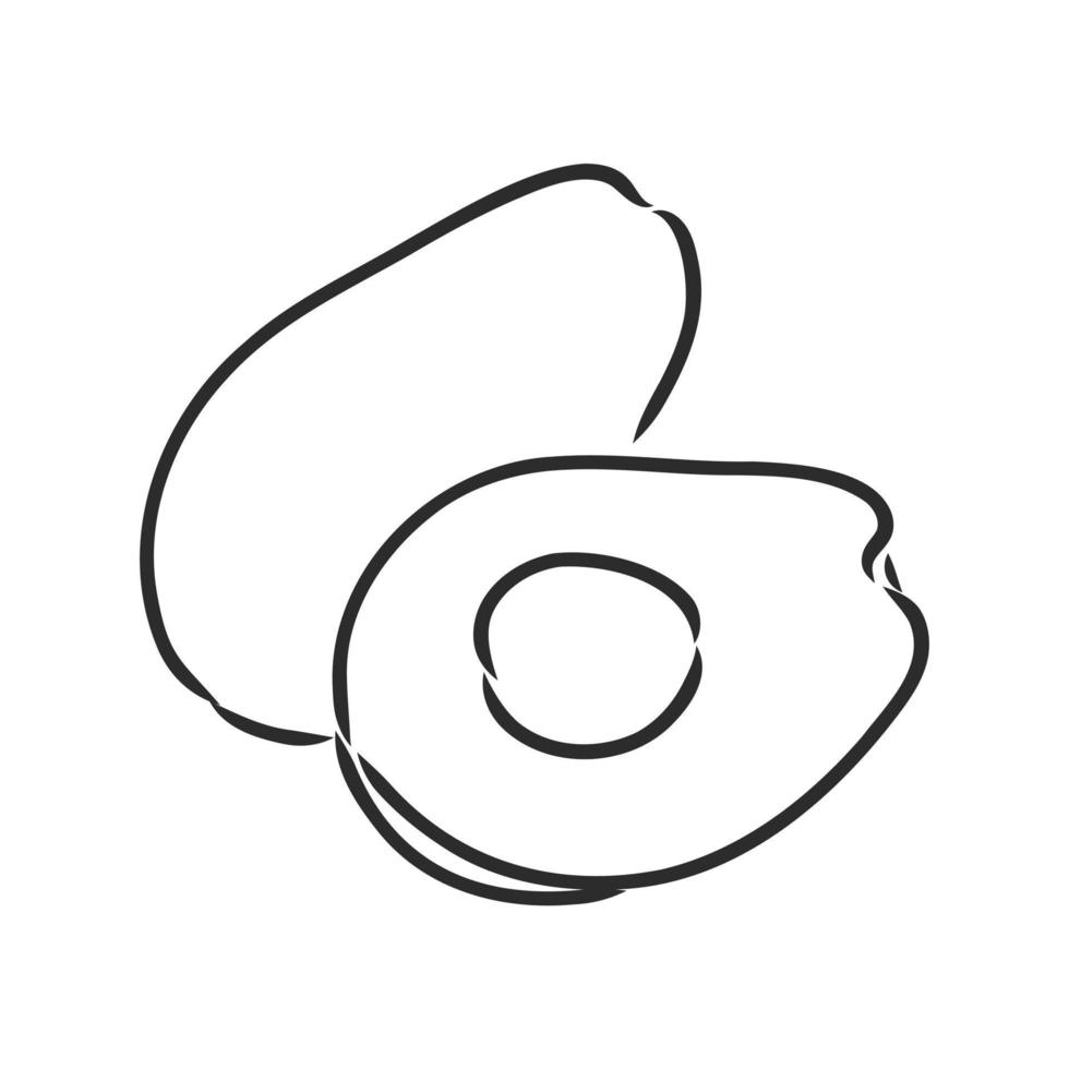 avocado vector sketch