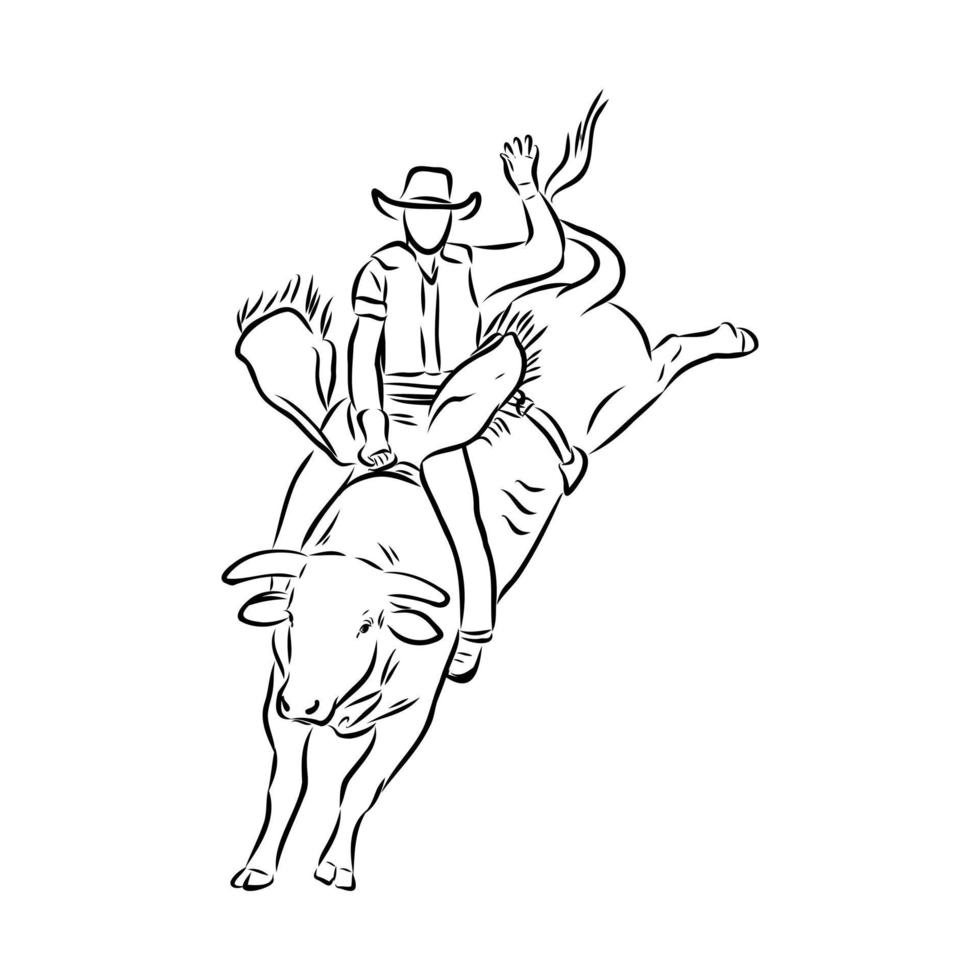 rodeo vector sketch