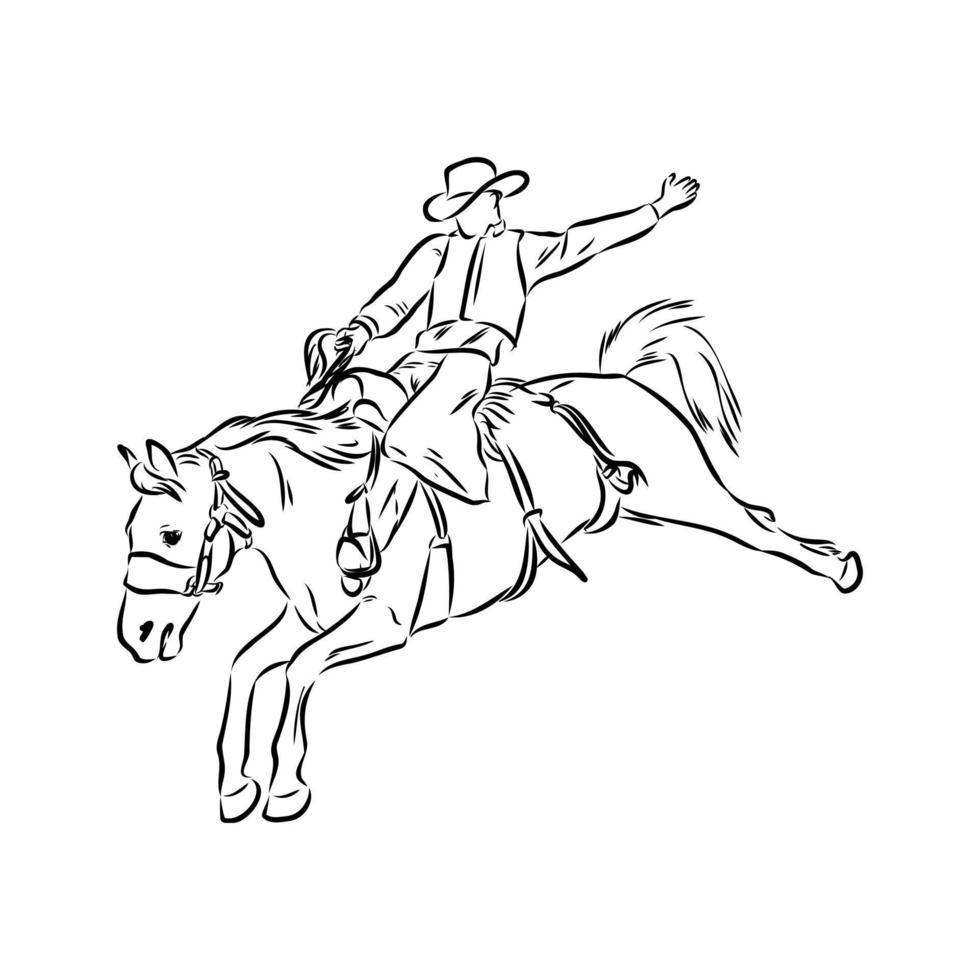 rodeo vector sketch