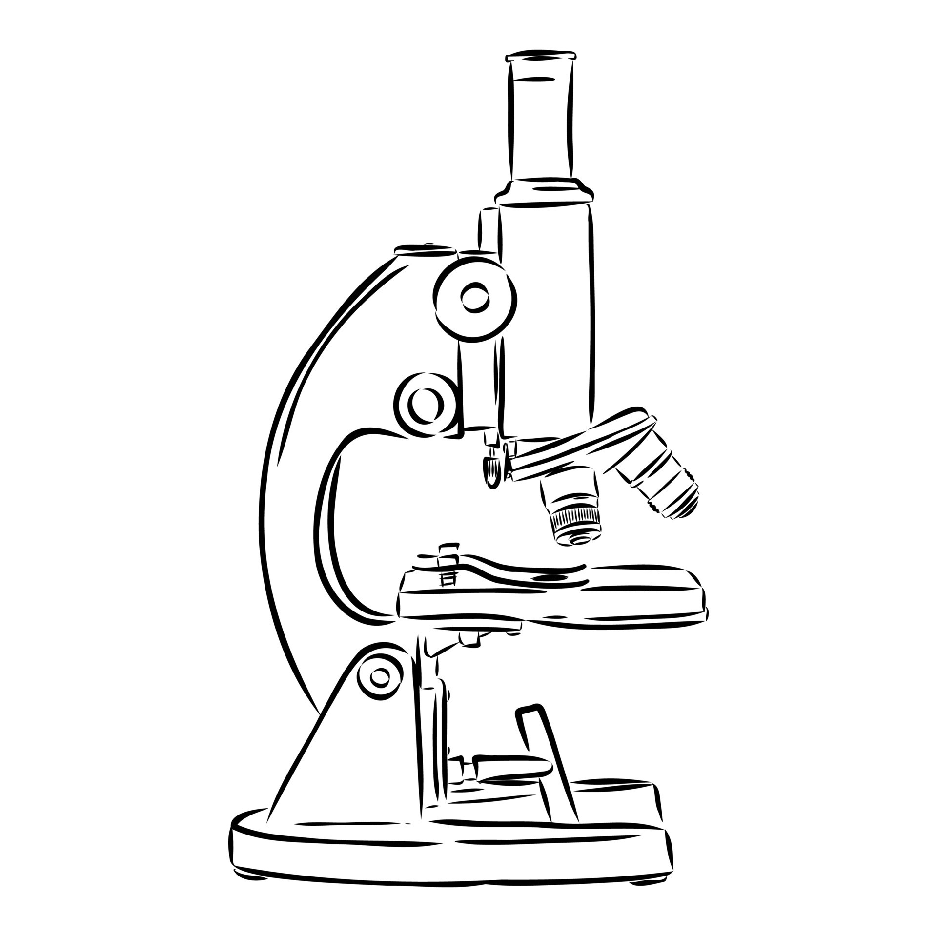 Microscope Drawing  How To Draw A Microscope Step By Step