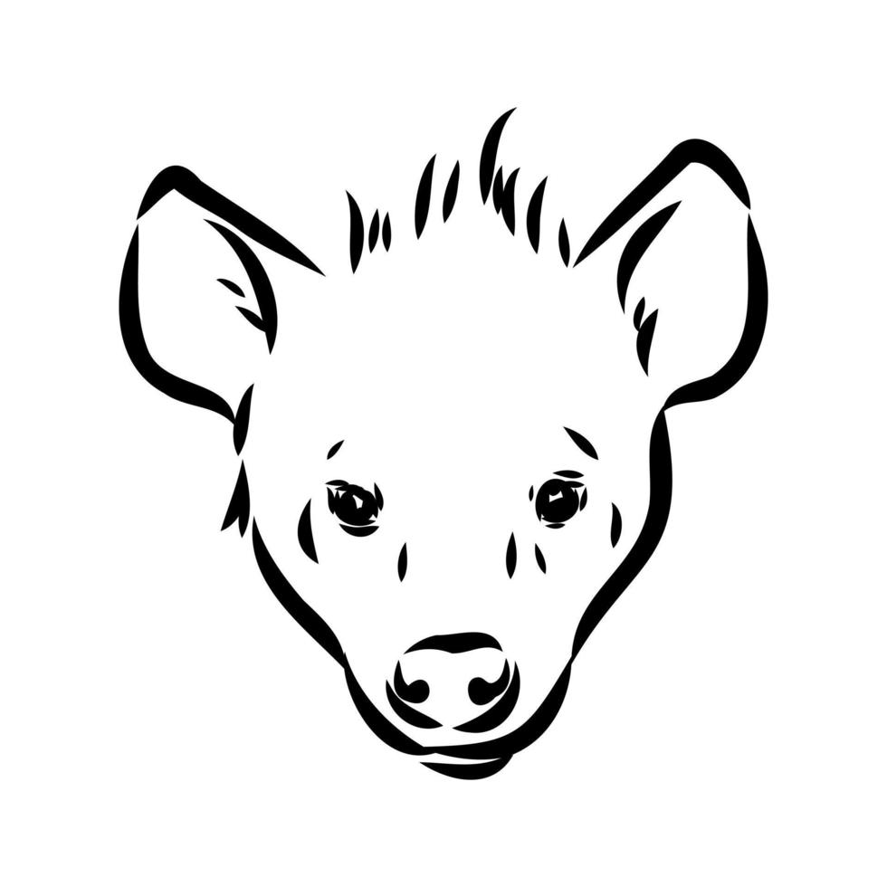 dibujo vectorial de hiena vector