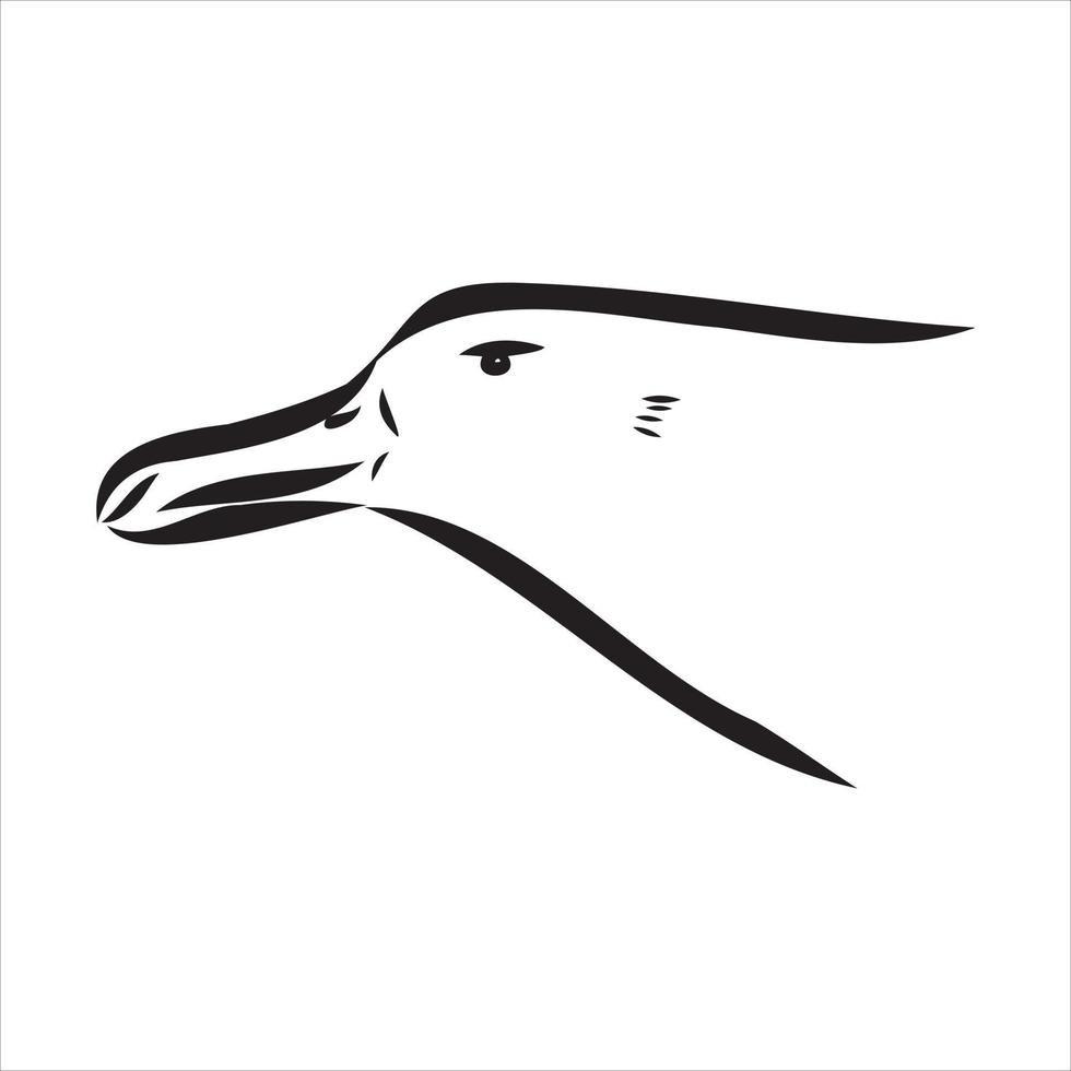 albatross vector sketch