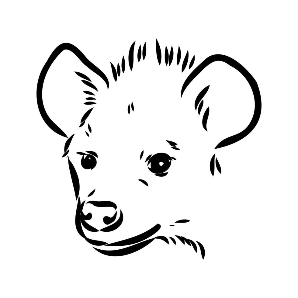 hyena vector sketch