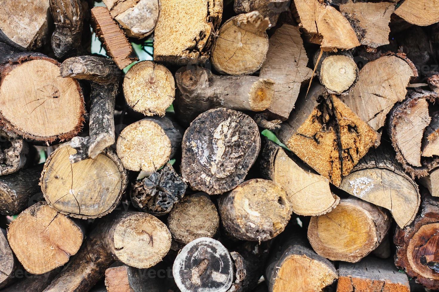 wood logs background photo