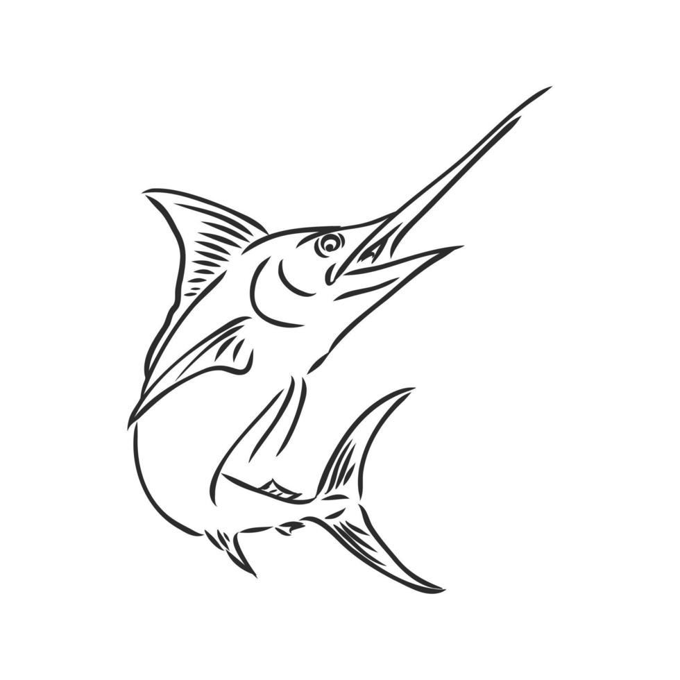 dibujo vectorial de pez marlin vector