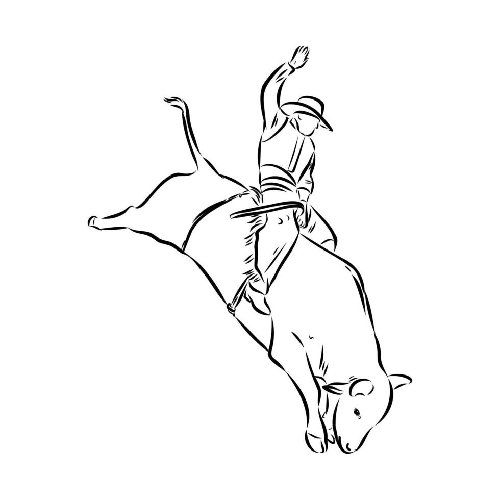 rodeo vector sketch