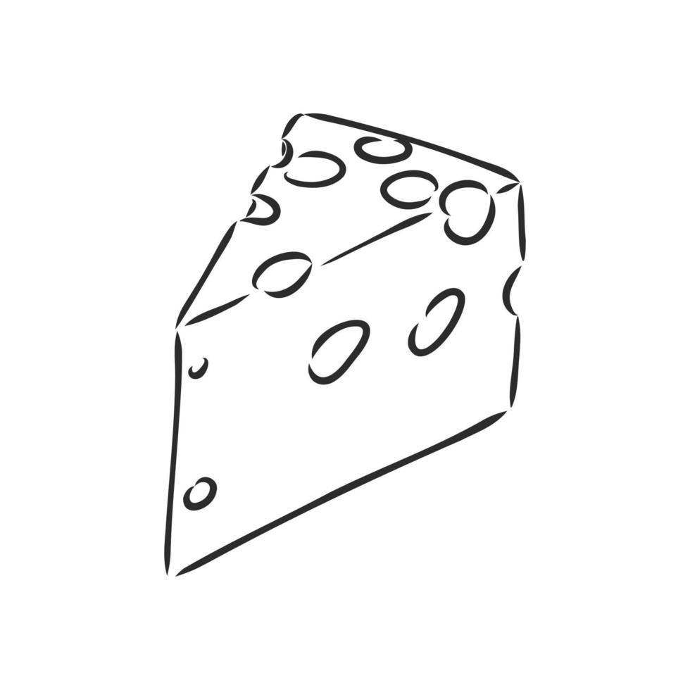 a piece of cheese vector sketch