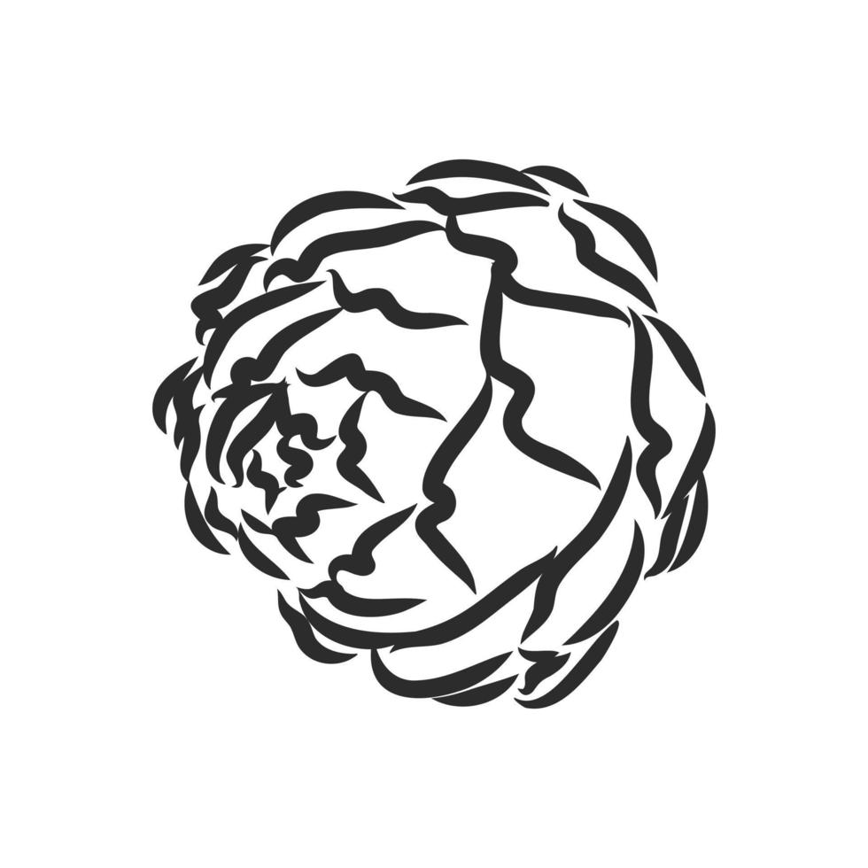 artichoke vector sketch