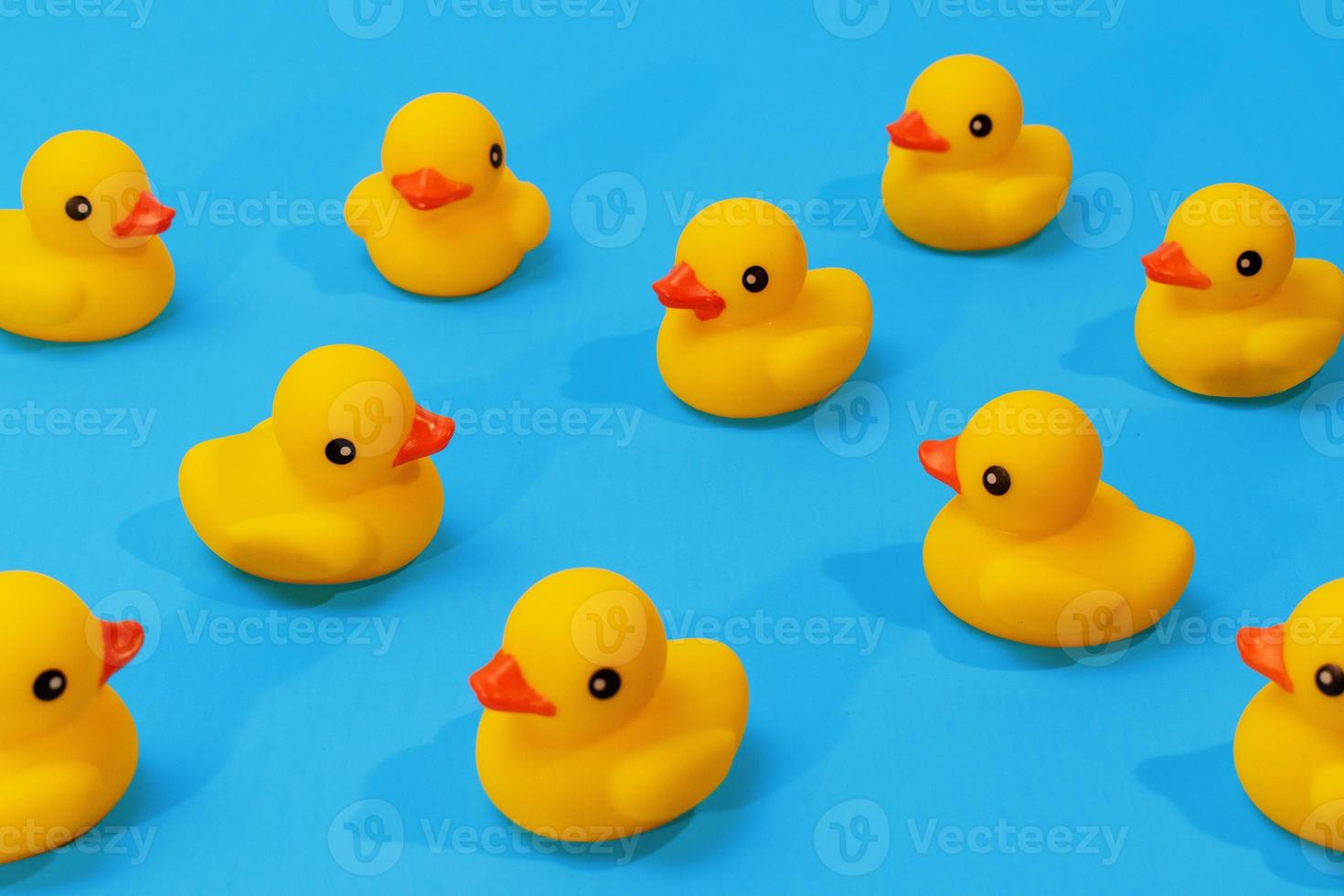 yellow rubber ducks in a pattern on blue background with copy space photo