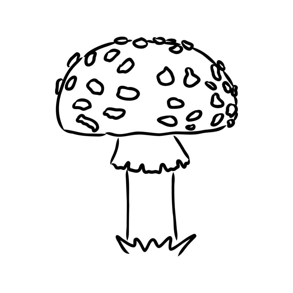 fly agaric vector sketch