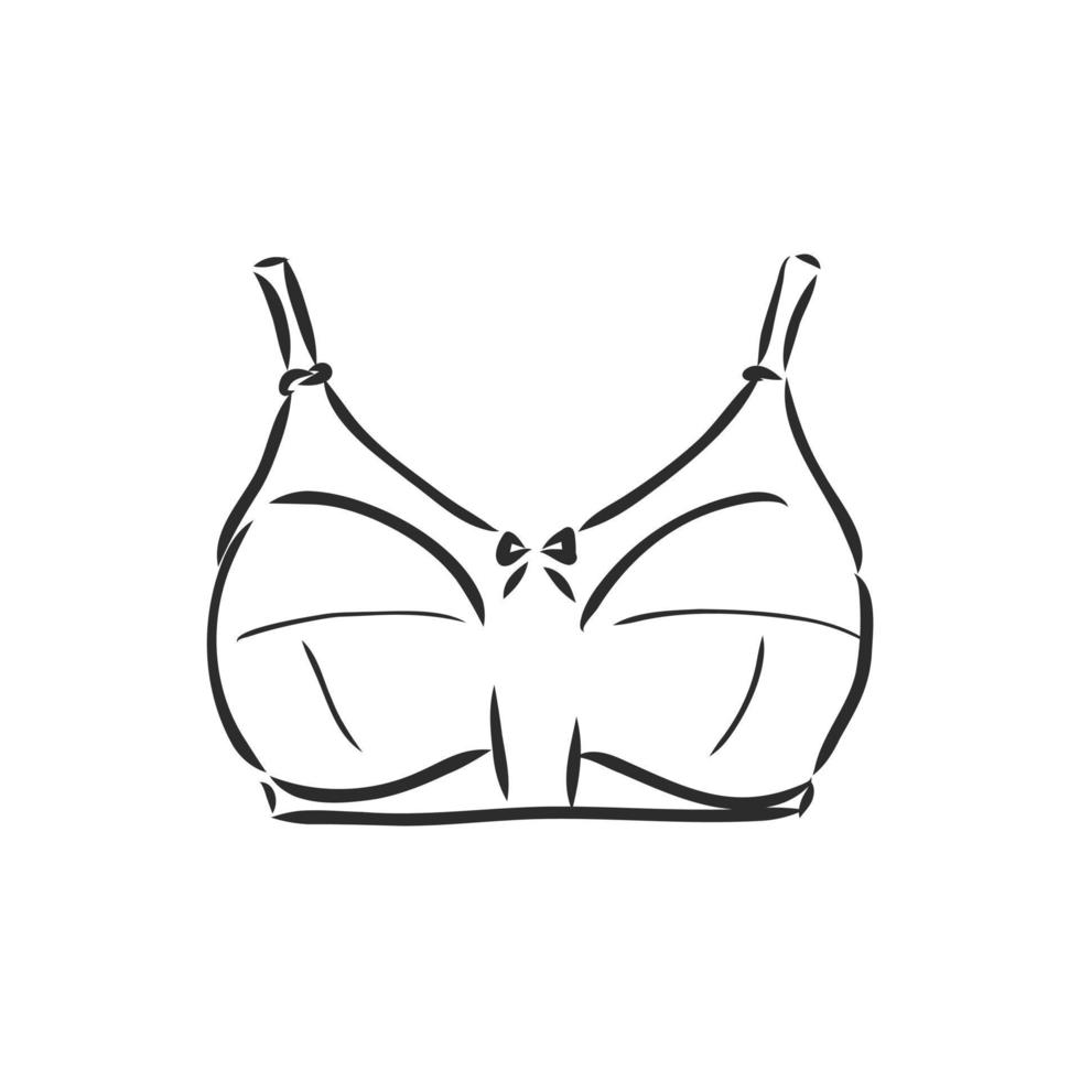 underwear vector sketch