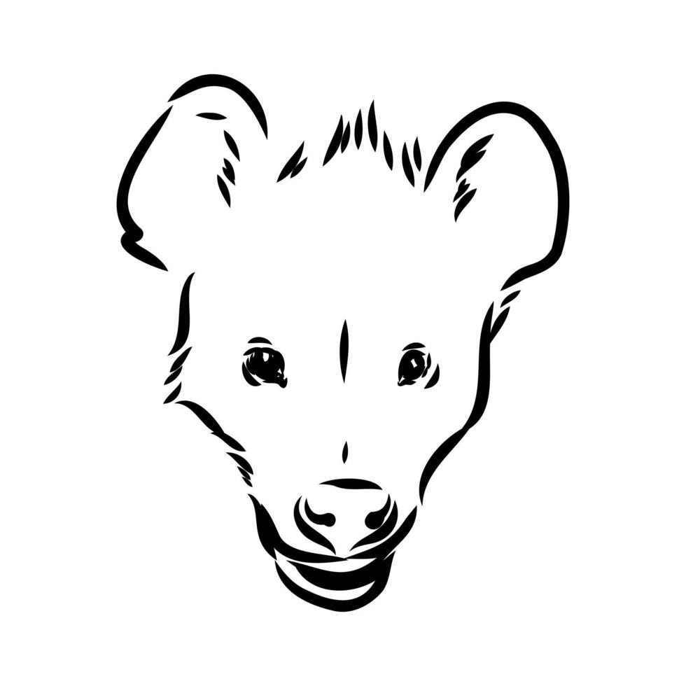 hyena vector sketch