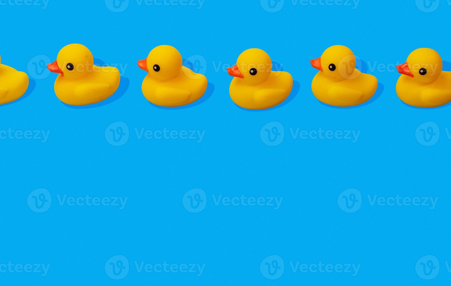 yellow rubber ducks in a row spaced out on blue background with copy space photo