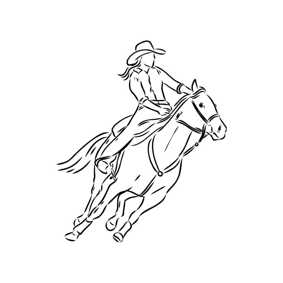 rodeo vector sketch