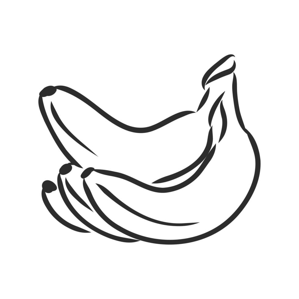 banana vector sketch