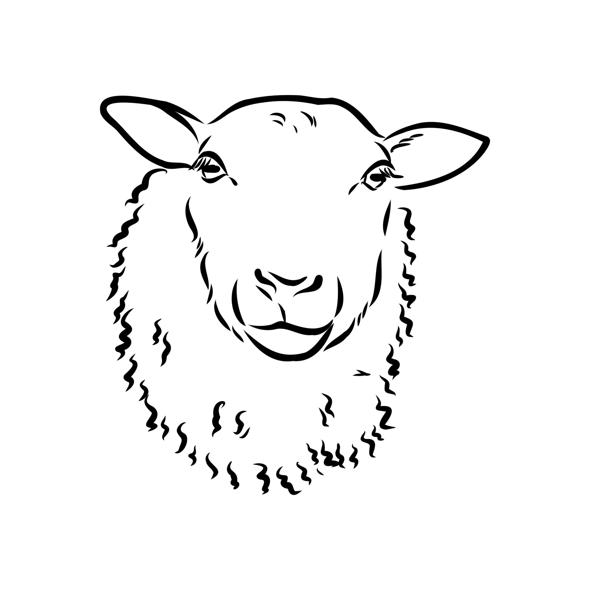 60 Free Sheep Drawing  Sheep Images  Pixabay