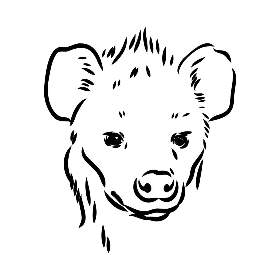 hyena vector sketch