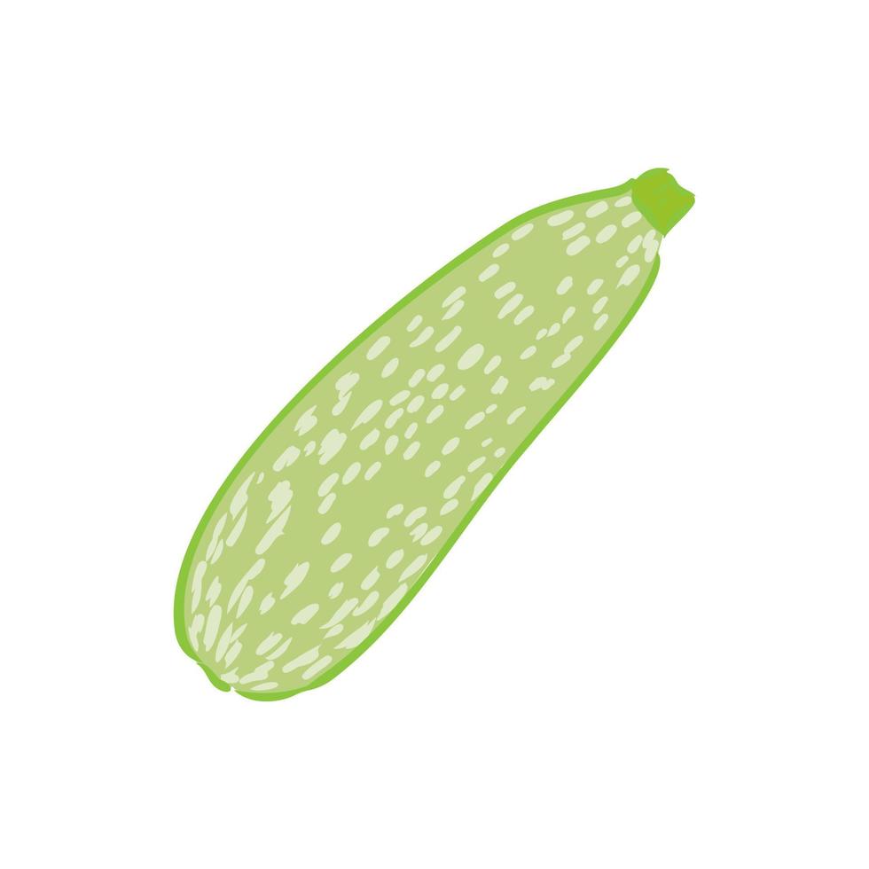 zucchini vector sketch