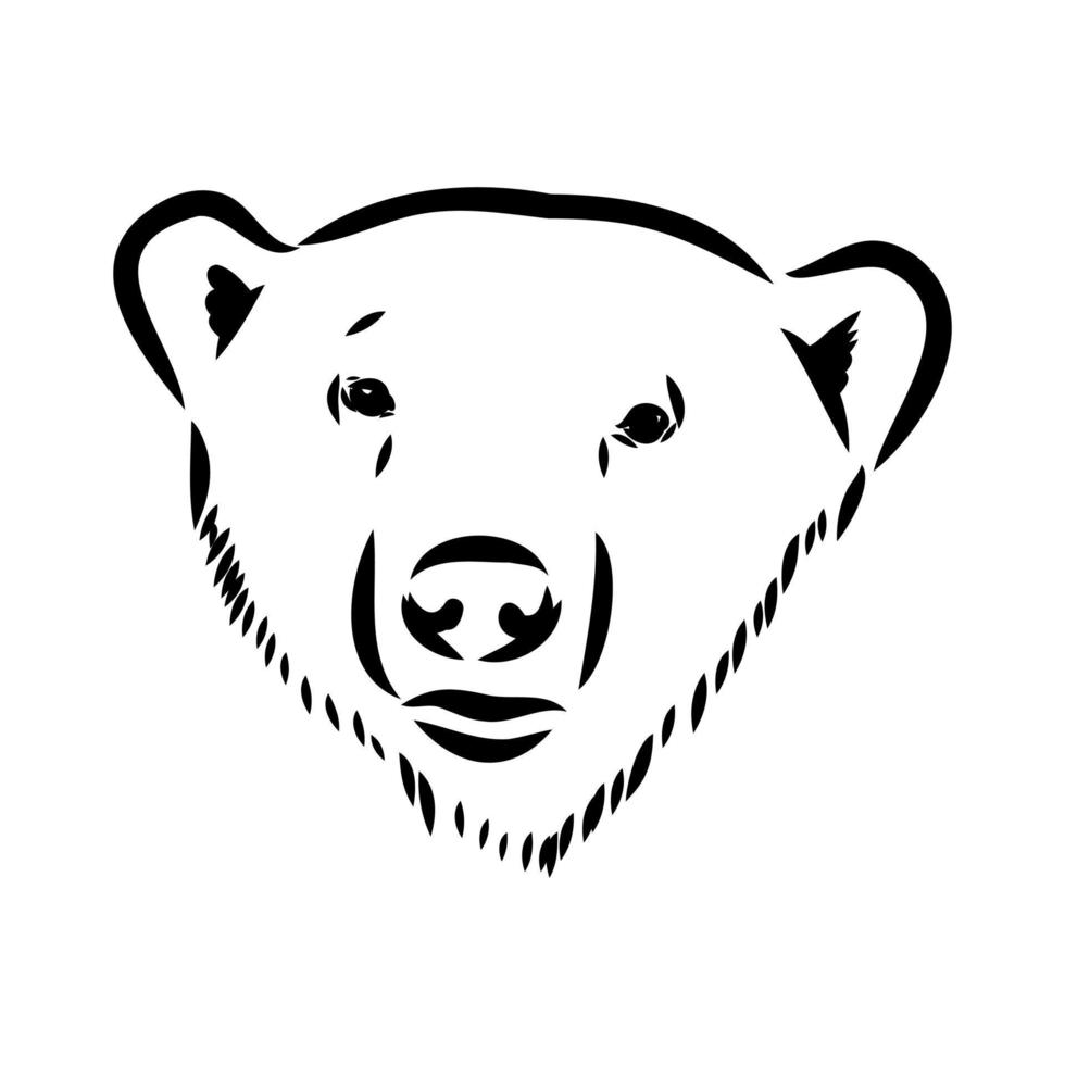 polar bear vector sketch