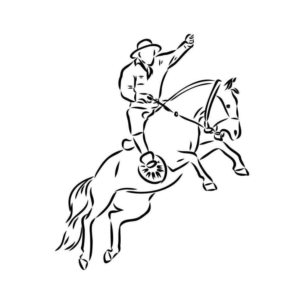 rodeo vector sketch