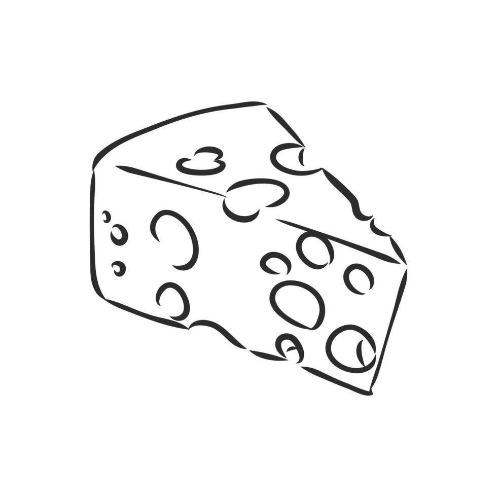 un trozo de dibujo vectorial de queso vector