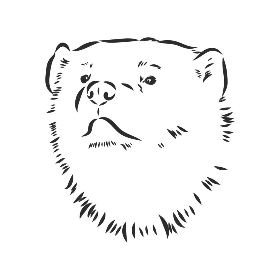 wolverine vector sketch