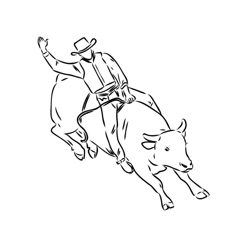 rodeo vector sketch