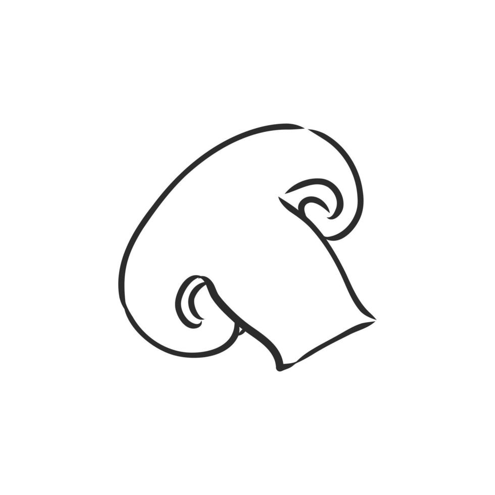 mushrooms champignons vector sketch