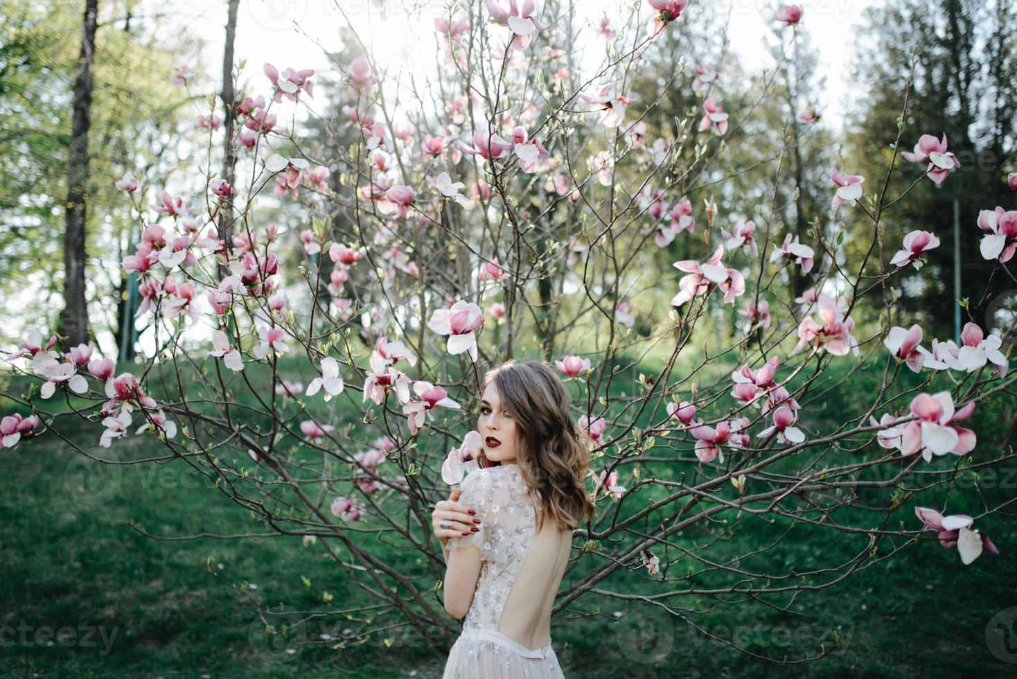 very beautiful girl the bride under a veil, beige wedding dress near the tree Sakura is looking down, nature photo