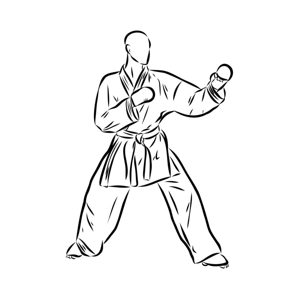 bosquejo del vector del karate