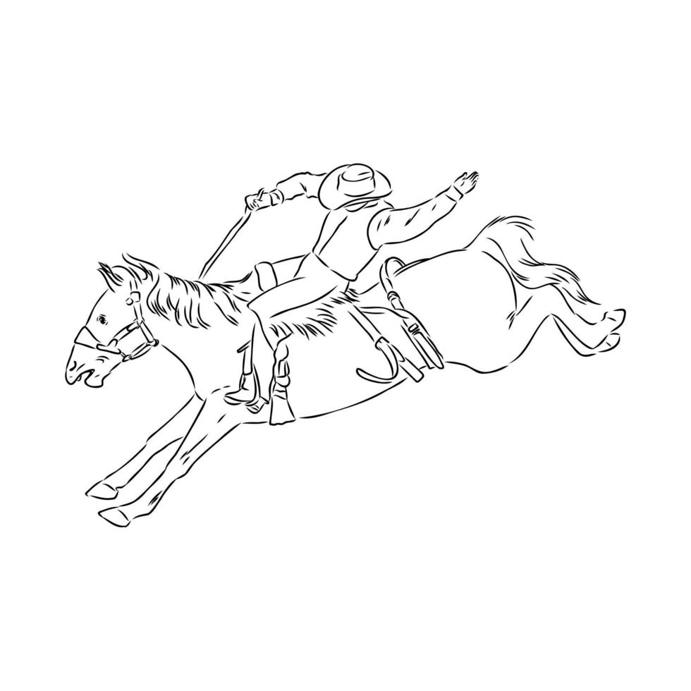 rodeo vector sketch