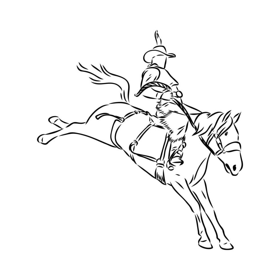 rodeo vector sketch