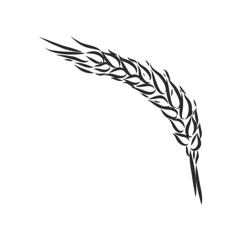 wheat vector sketch