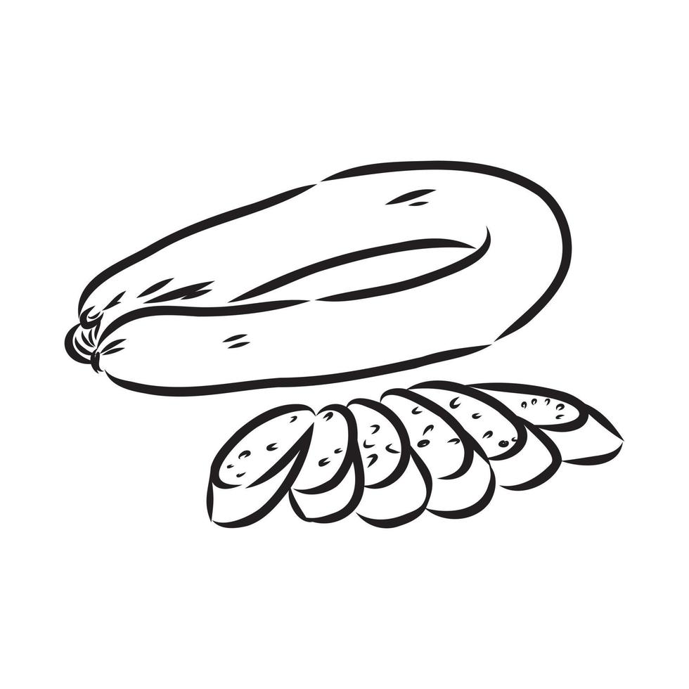 sausage vector sketch