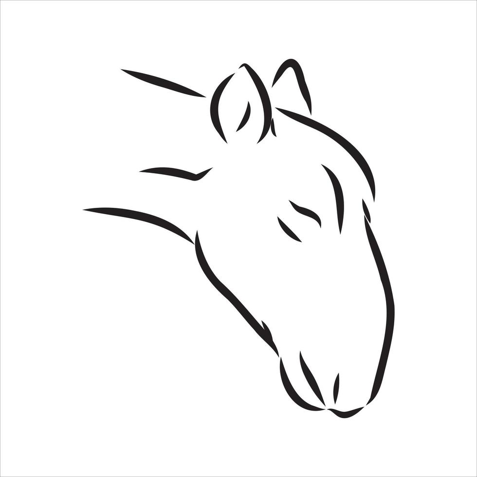 saiga vector sketch