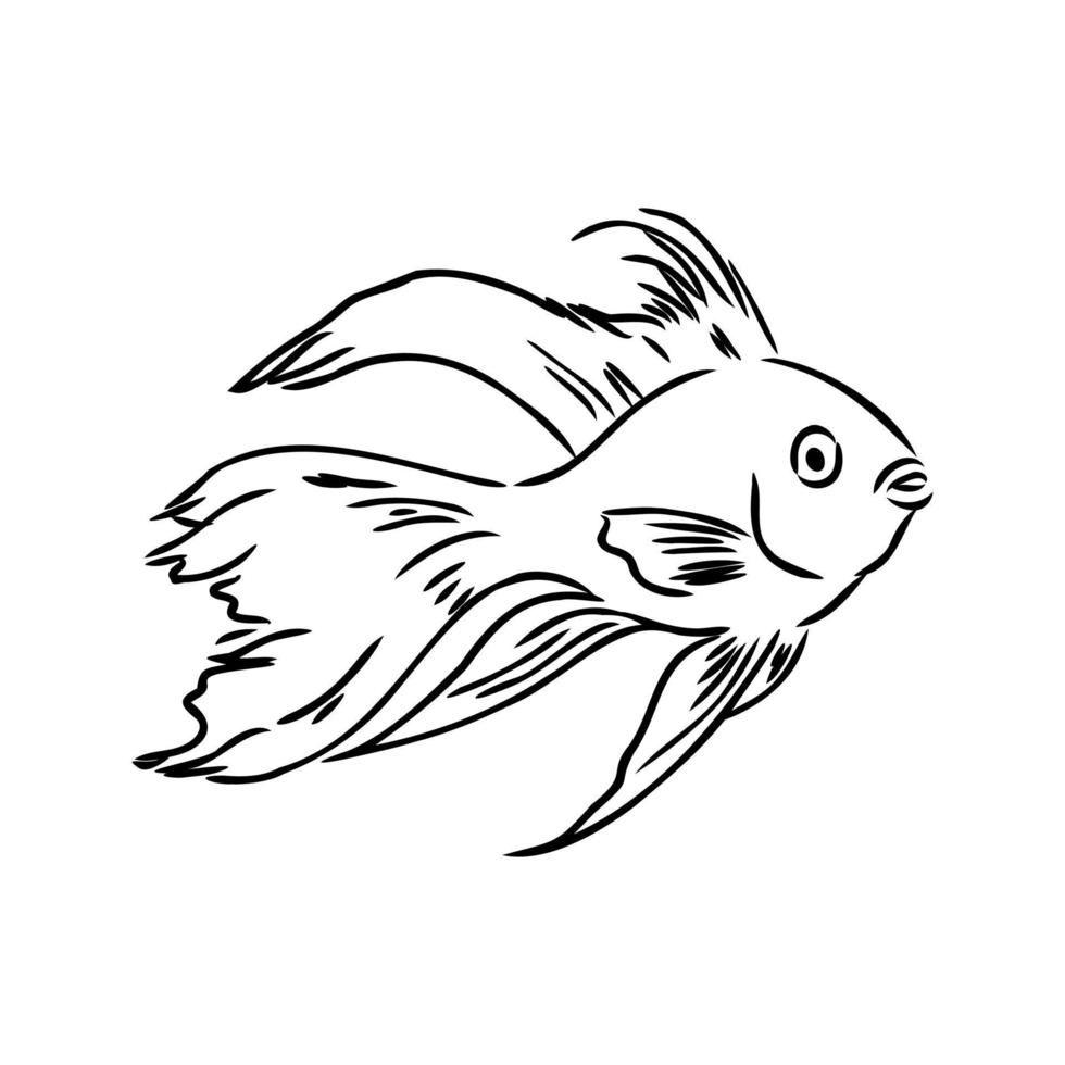 aquarium fish vector sketch