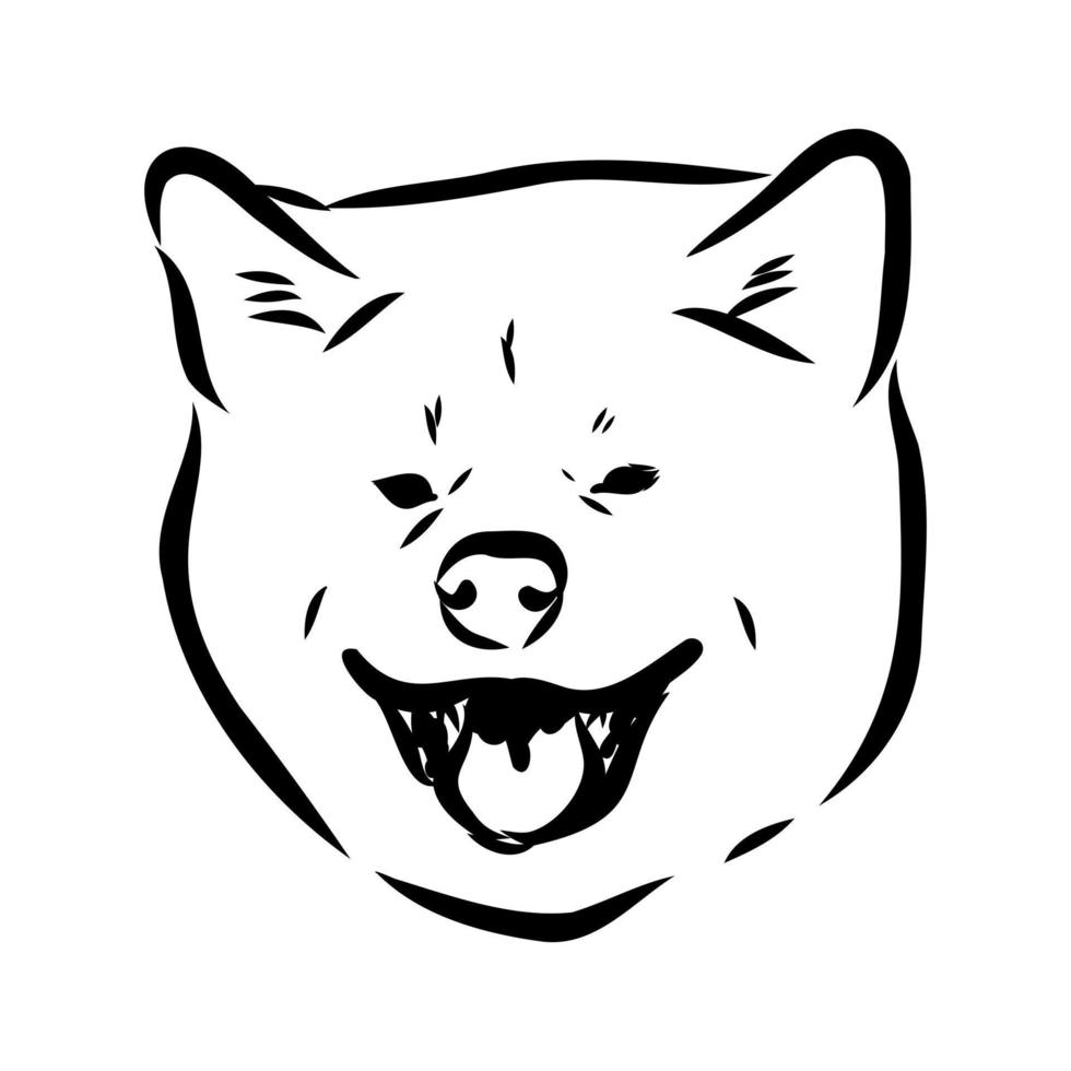 akita inu dog vector sketch